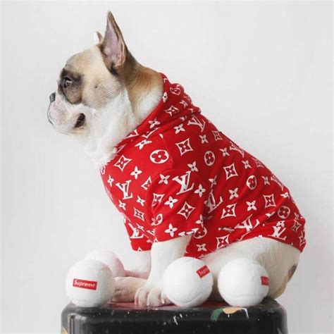 louis vuitton dog clothes.